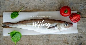 Wijting