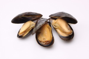Zeeuwse mosselen