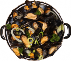 FishXL-in-Yerseke_Mosselpan-los