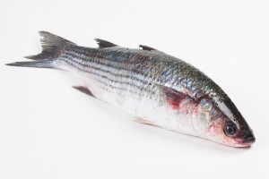 101010-1_Harder heel