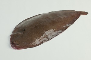 103007-1_Tong heel 250-300 gram