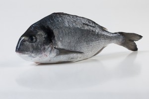 101006-1_Dorade heel 400-600 gram