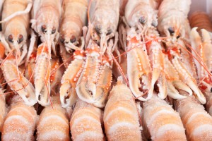 Langoustine