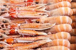204010-2_Langoustines 13-15 - diepvries