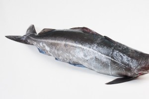 108006-1_Koolvis heel 1-2 kg zonder kop