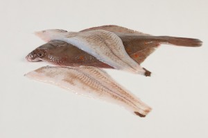 106013-2_Schol filet 100 gram + zonder vel