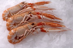 langoustines
