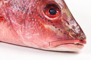 101013-2_red-snapper-heel-1-2-kg
