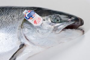 Zalm label rouge